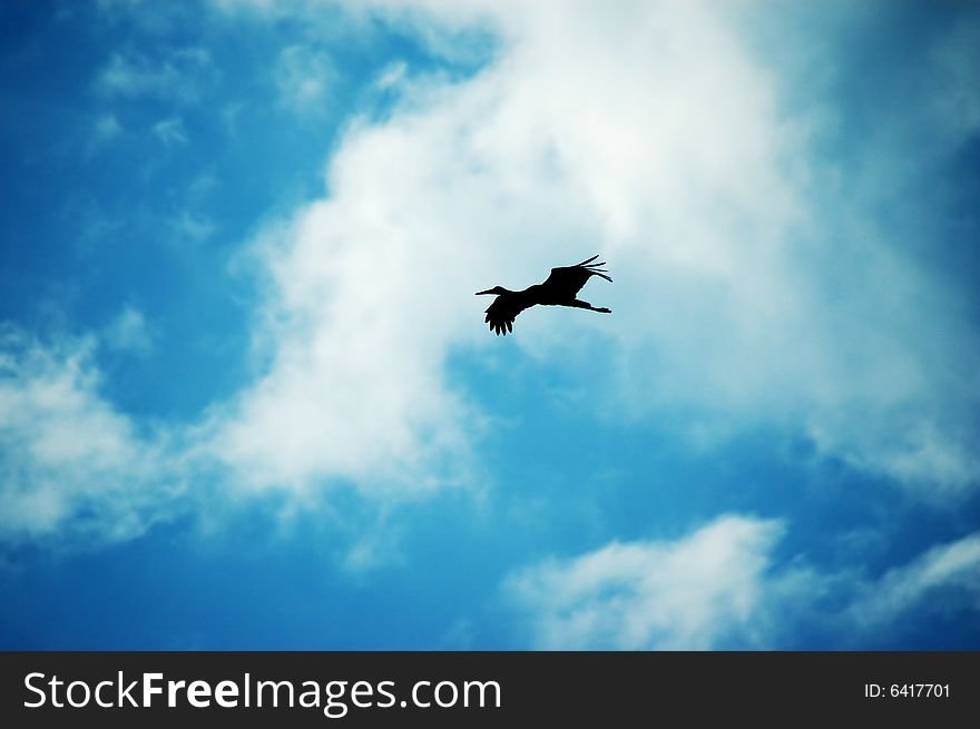 Black crane in the sky