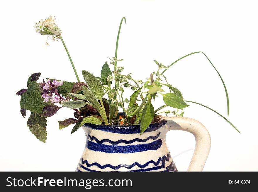 Fresh Herbs In Vase