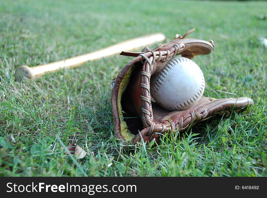 Baseball Bat With Glove
