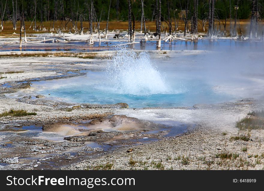 Midway Geyser Basin In Yellowstone