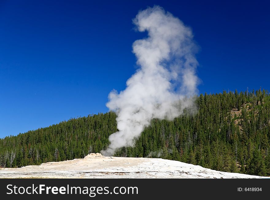 The Old Faithful Geyser In Yellowstone