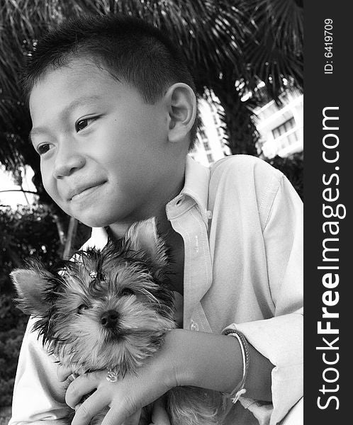 Young child holding his yorkie. Young child holding his yorkie