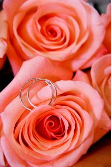 Wedding Rings In Rose Bouquet Royalty Free Stock Image Wedding Rings In Rose Bouquet Royalty Free Stock Image