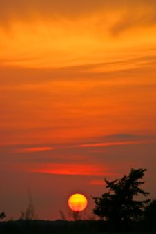 Trees In Silhouette Royalty Free Stock Photography Trees In Silhouette Royalty Free Stock Photography