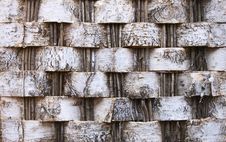 Bark Hedge Stock Photo Bark Hedge Stock Photo