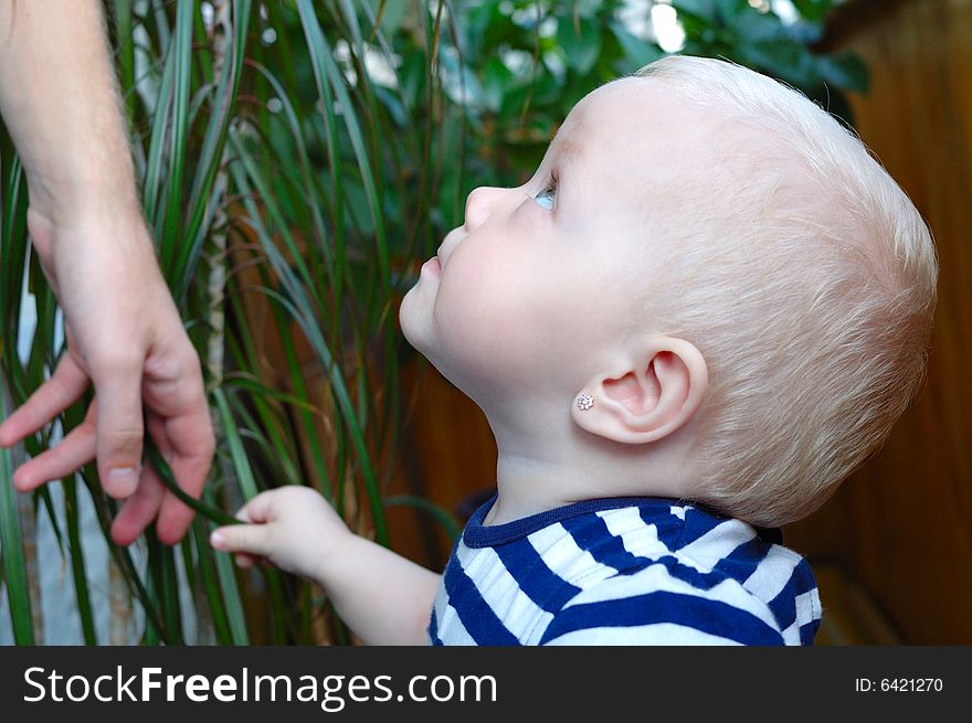 Little girl with blond hair and man's hand on green plant background.