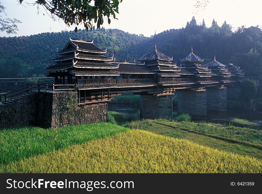 A bridge and a rice paddy.