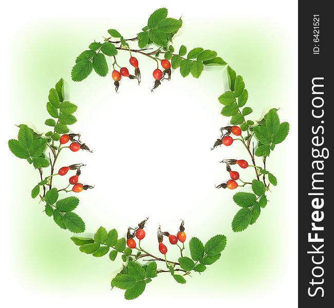 The wreath forms an original photoframework of a dogrose