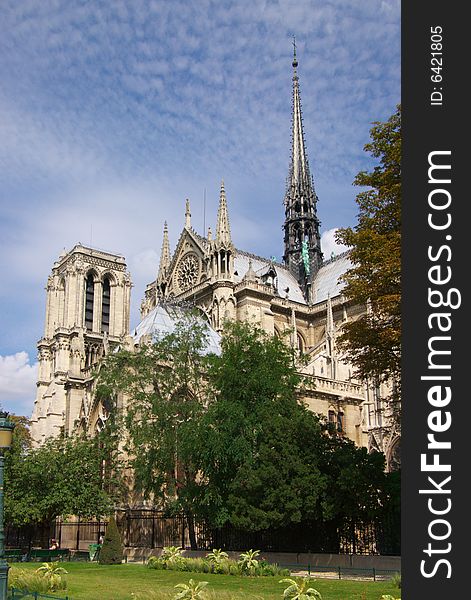 Notre Dame cathedral of Paris, vertical, blue sky and trees
