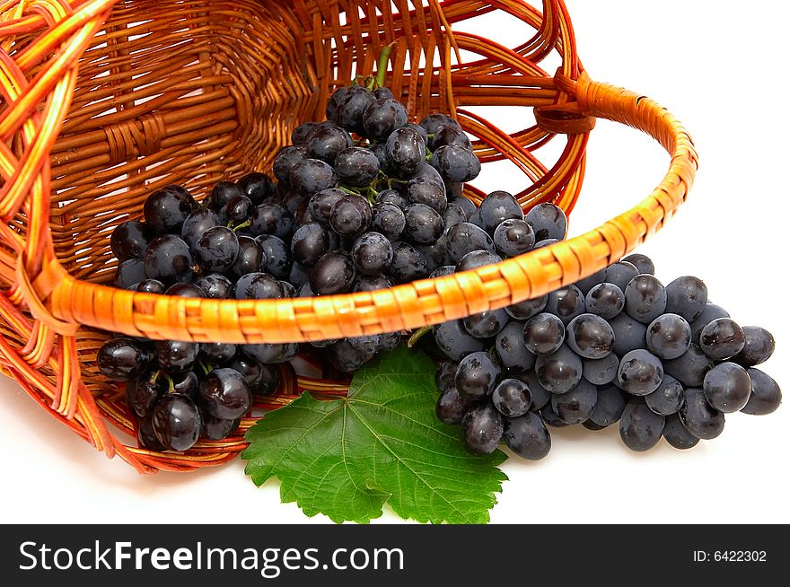 Bunches of grapes  in basket.