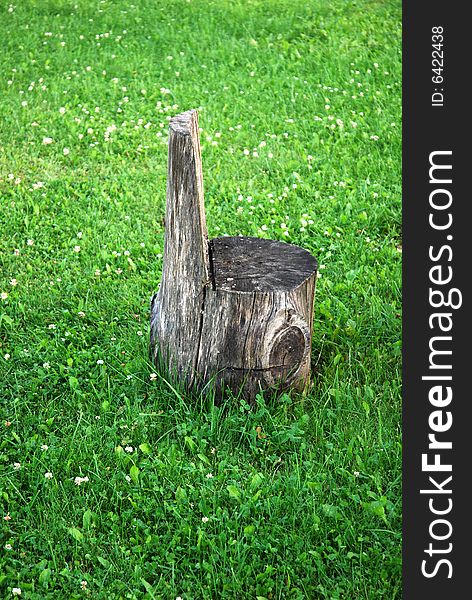 The ecological wooden chair in the garden . The ecological wooden chair in the garden