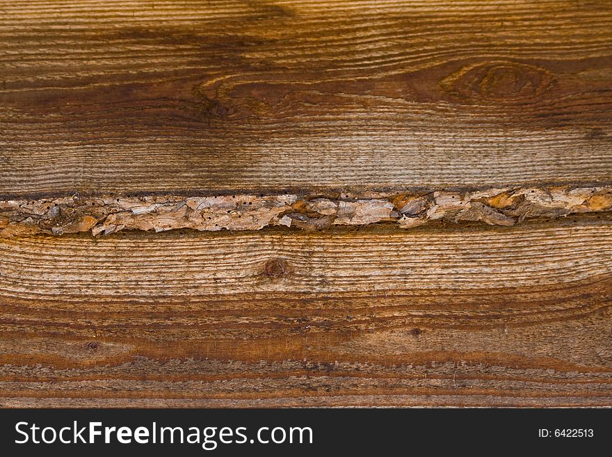 Wood texture background with detail
