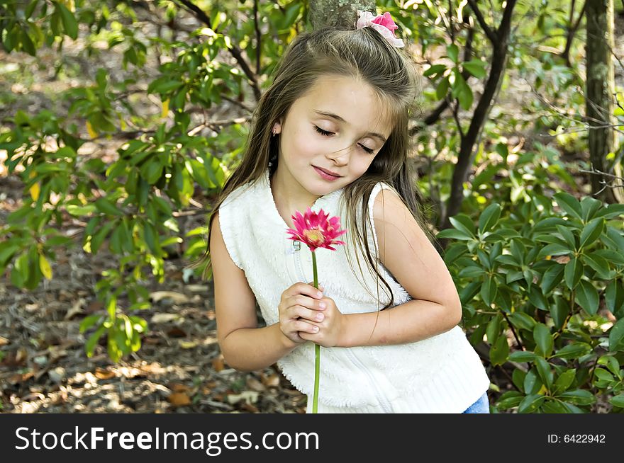 Little girl holding a pink flower with a look of love on her face. Little girl holding a pink flower with a look of love on her face.