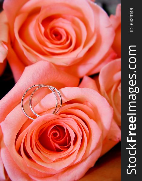 Wedding Rings In Rose Bouquet