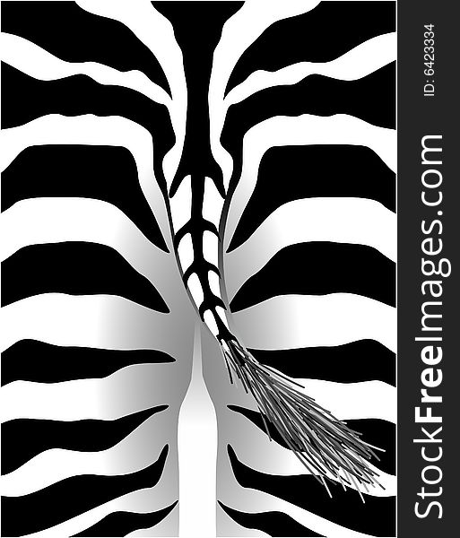 Back Part Of A Zebra