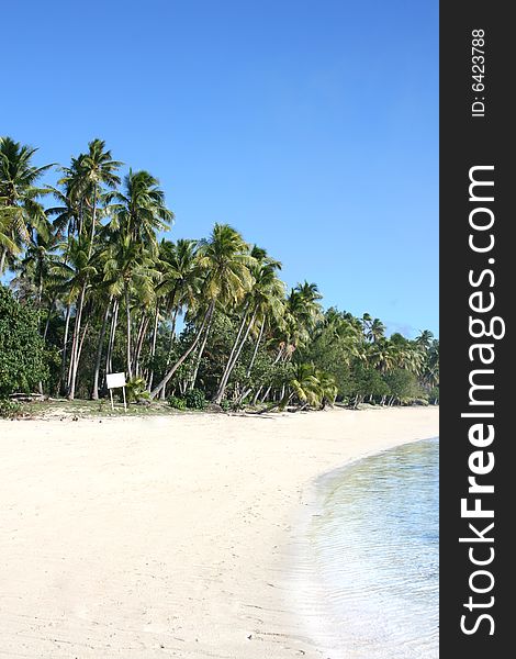 A palm fringed exotic beach