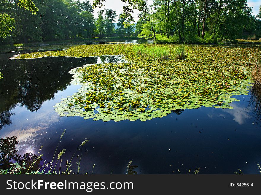 Blue and green pond