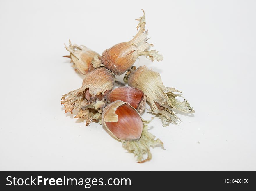 Hazel nut on the white background