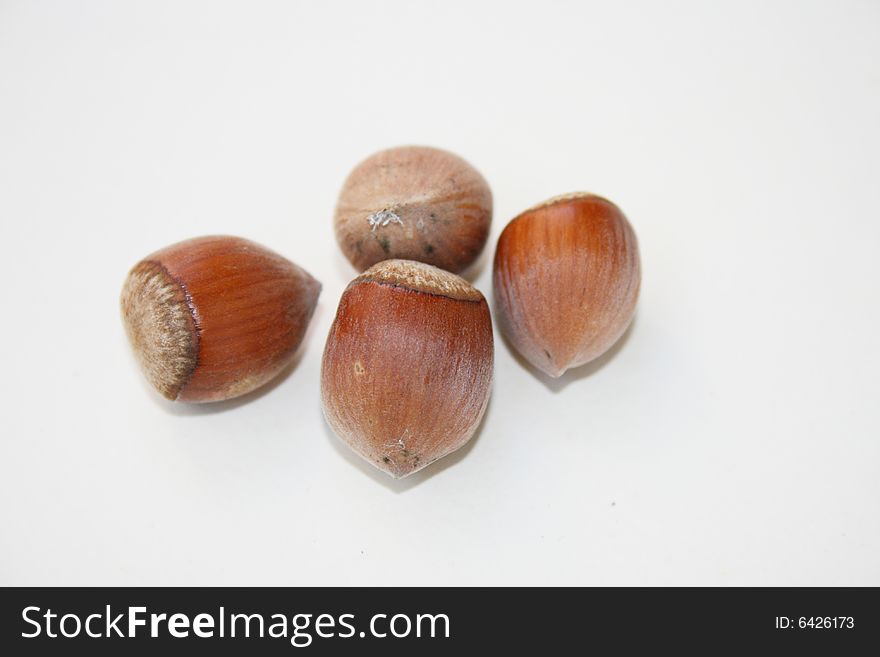 Hazel nut on the white background