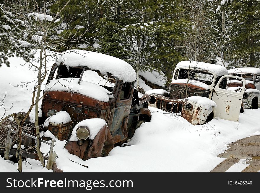 A vintage cars left to rust in a secluded spot in the Rocky Mountain forest. A vintage cars left to rust in a secluded spot in the Rocky Mountain forest.