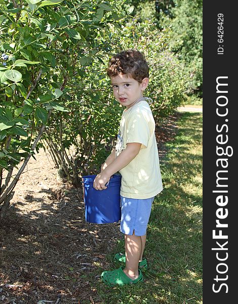 3 year old boy at the playground/grass. 3 year old boy at the playground/grass