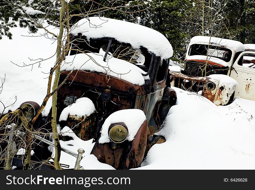 A vintage cars left to rust in a secluded spot in the Rocky Mountain forest. A vintage cars left to rust in a secluded spot in the Rocky Mountain forest.