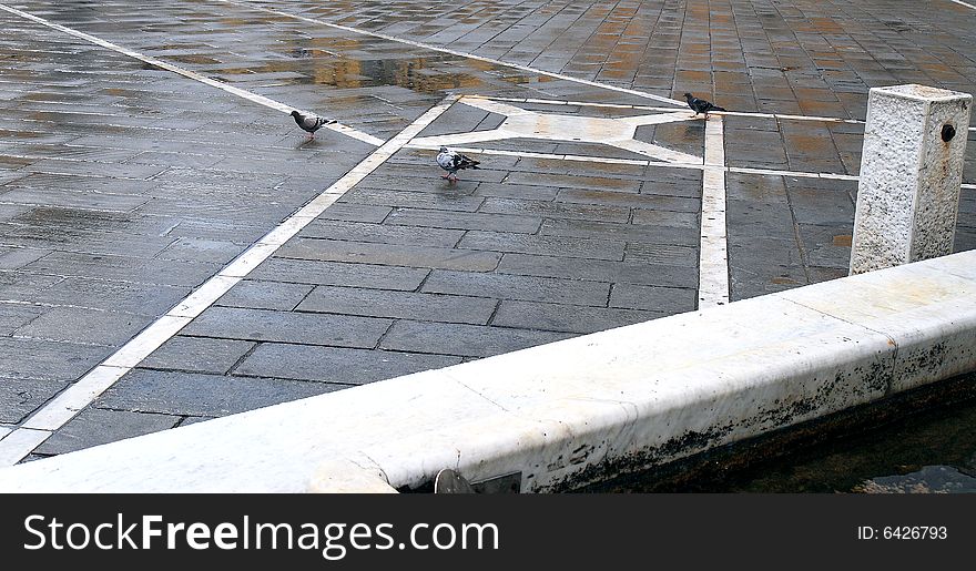 The square o of Sarzana (La Spezia, Liguria, Italy) during day. The square o of Sarzana (La Spezia, Liguria, Italy) during day