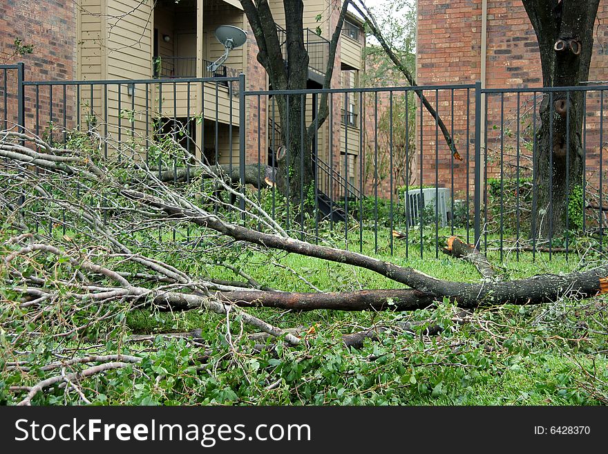 Several trees down in front of a apartment from Hurricane Ike. Several trees down in front of a apartment from Hurricane Ike