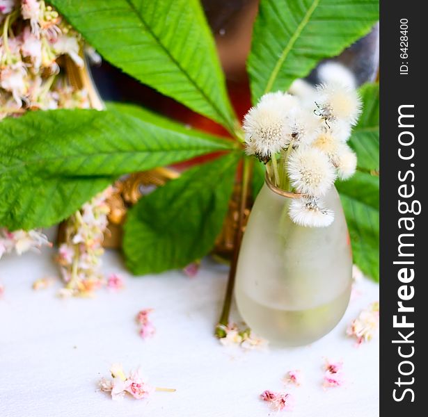 Dandelions in vase and leaf for your design