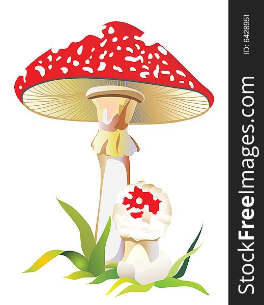 Fly agaric in a grass. Vector