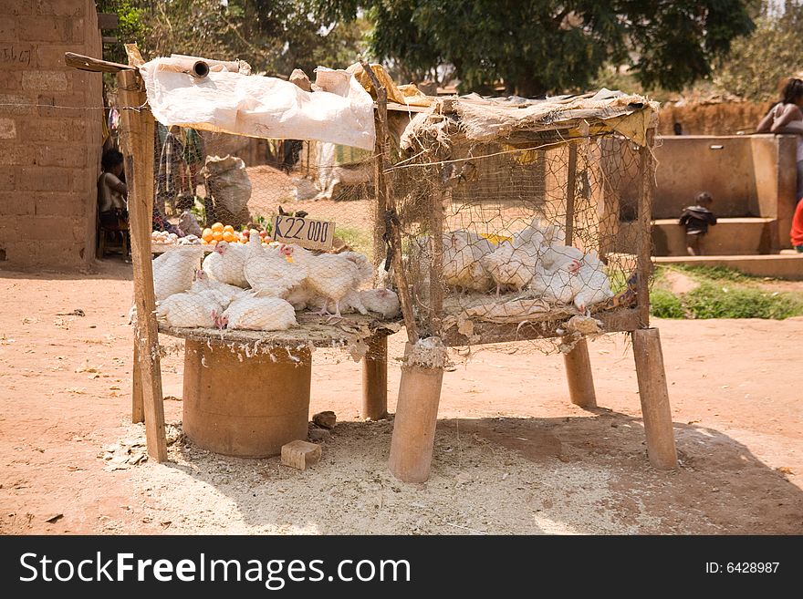 Chickens for sale on a roadside stall Zambia Africa