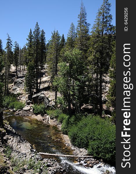 Beautiful creek in the mountain forest. Beautiful creek in the mountain forest