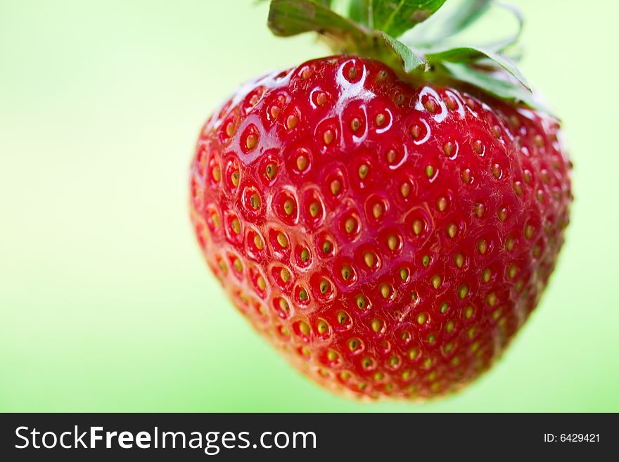 Close up of a delicious strawberry