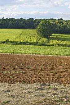 Field With Parallel Lines Royalty Free Stock Photos