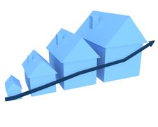 Free Growth Royalty Free Stock Photo - 6436835