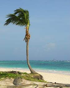 Bavaro Beach - Punta Cana Stock Photo Bavaro Beach - Punta Cana Stock Photo