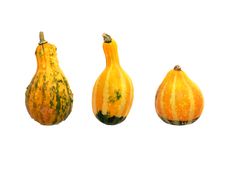 Three Pumpkins Royalty Free Stock Photo Three Pumpkins Royalty Free Stock Photo