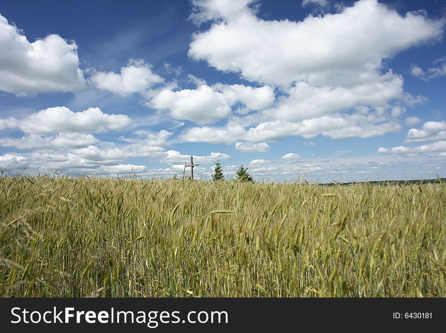 Traditional Lithuanian landscape with a cross and corn field