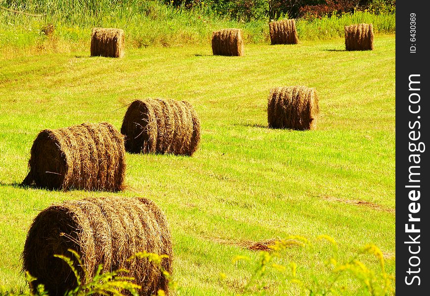 Hay Bales