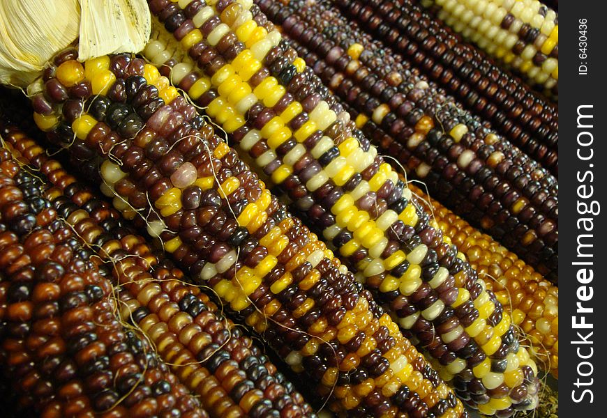 A close up of indian corn