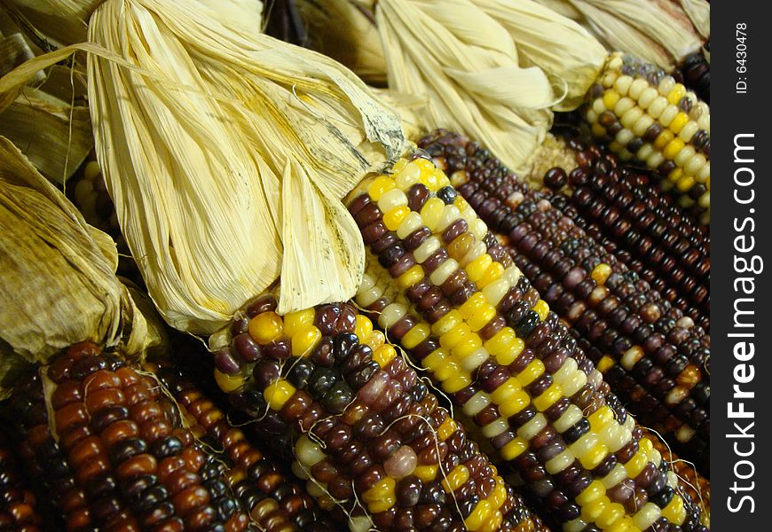 A close up of indian corn