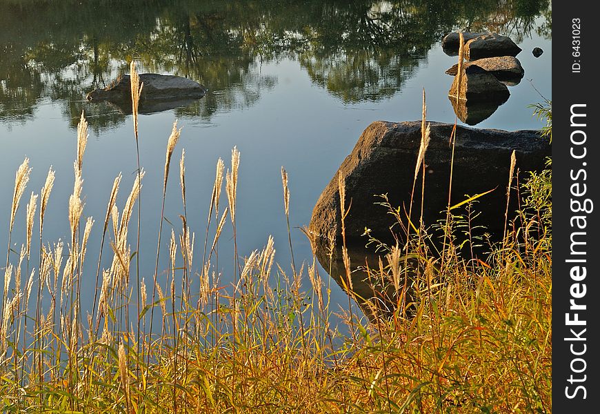 Rural fall landscape with fine forest lake and trees reflections in the water. Rural fall landscape with fine forest lake and trees reflections in the water