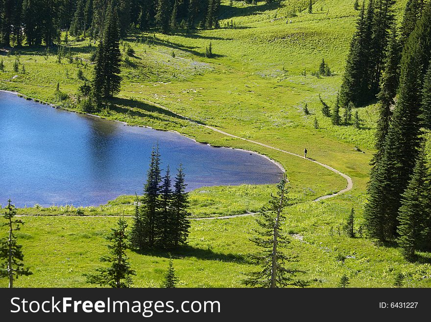 Nice trail around lake in rainier national park. 
. Nice trail around lake in rainier national park.