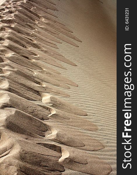 Pattern of indentations left from footprints on top of ridge of sand dune. Pattern of indentations left from footprints on top of ridge of sand dune