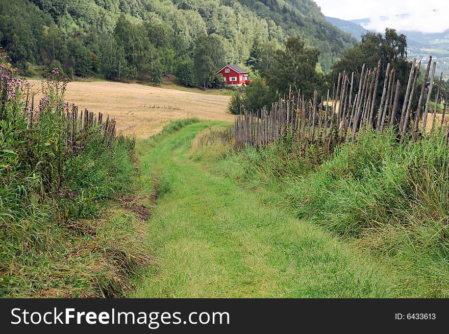 The old country road and old wood fence.