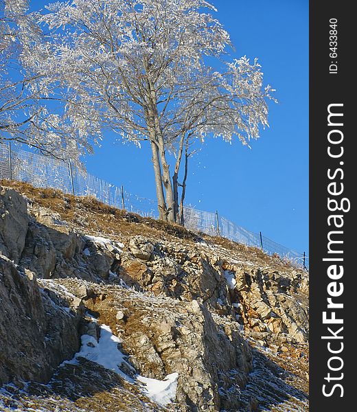 Side of the highway, natural stone wall with fence, sunlit tree on the hilltop under scarse snow, clear blue sky background;
view through the passenger window. Side of the highway, natural stone wall with fence, sunlit tree on the hilltop under scarse snow, clear blue sky background;
view through the passenger window