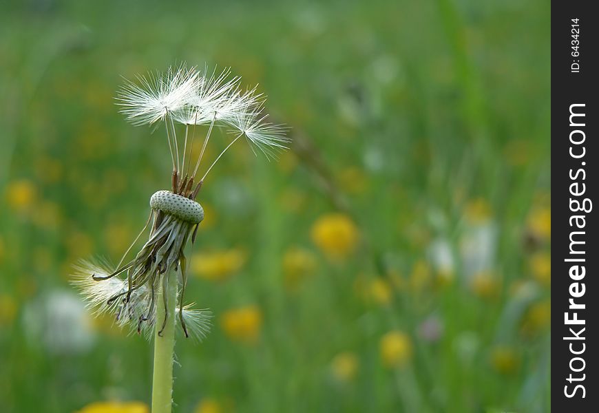 Blow-ball