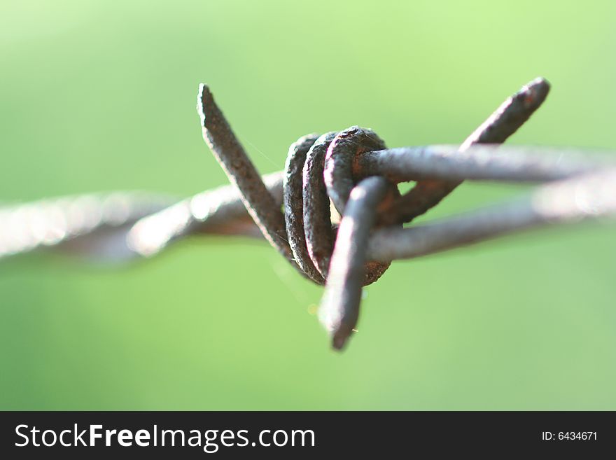 Rusty barbwire closeup horizontal image with green background