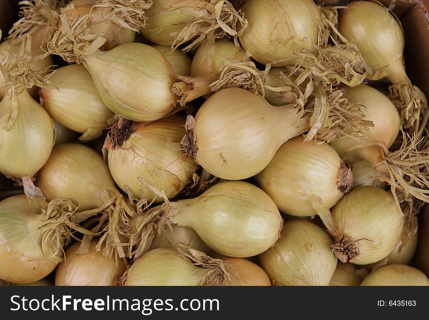 Onion Background