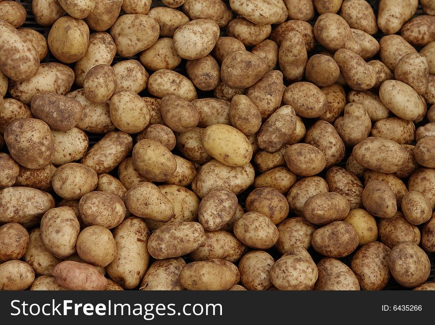 Potato Background